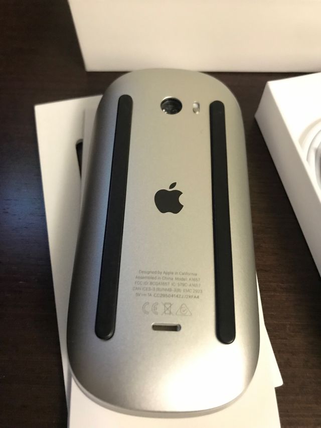 Magic mouse 2