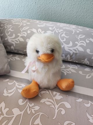 Peluches bebé colección