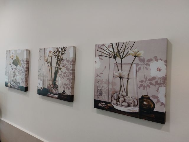 Cuadros motivos florales