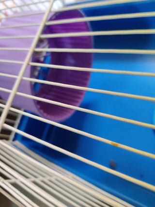 jaulas Hamster