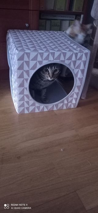 Cama para gatos, fieltro, con cojín interior .