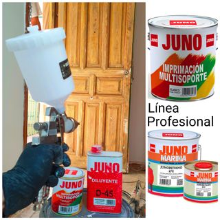 PINTOR PROFESIONAL 