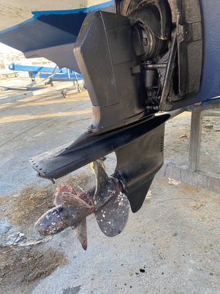 Rinker 230 Festiva ESTROPEADA urge venta