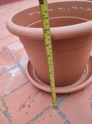 Maceta grande