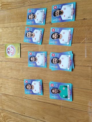 cromos futbol mundial qatar
