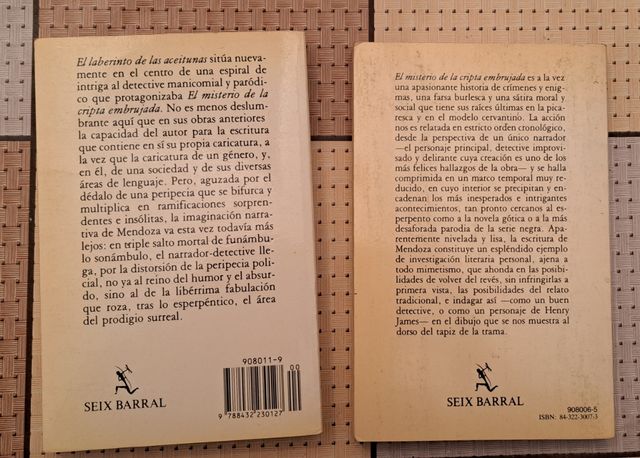 Laberinto de las aceitunas, Misterio de la cripta