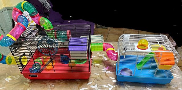 Jaulas para Hámsteres