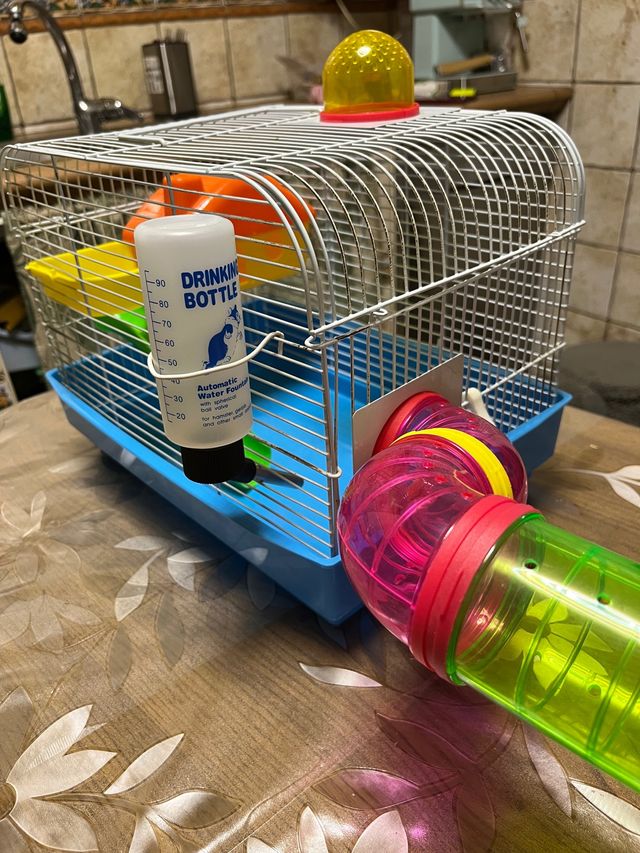 Jaulas para Hámsteres