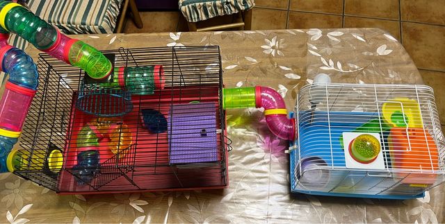 Jaulas para Hámsteres