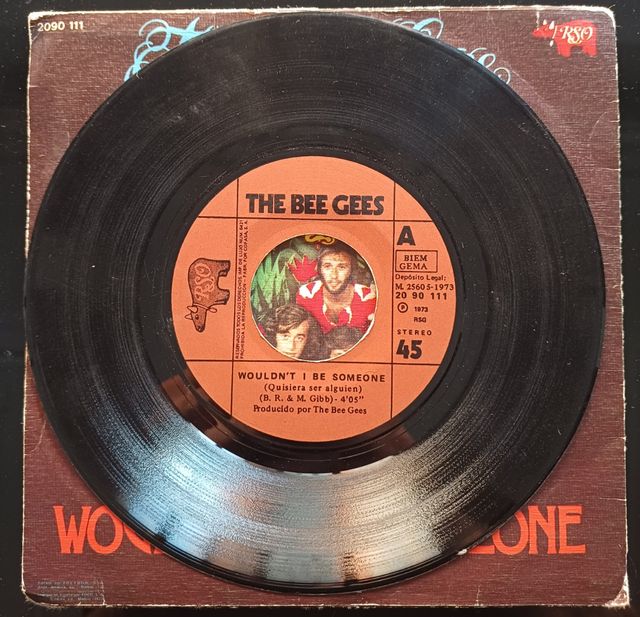 The Bee Gees - Wouldn't I be someone