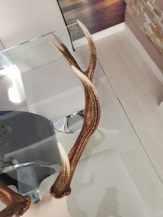 adorno o perchero o colgador