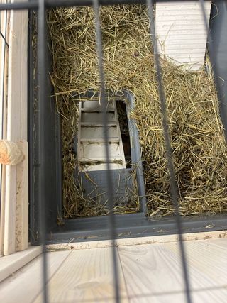 Jaula FERPLAST COTTAGE