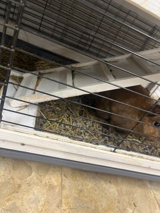 Jaula FERPLAST COTTAGE