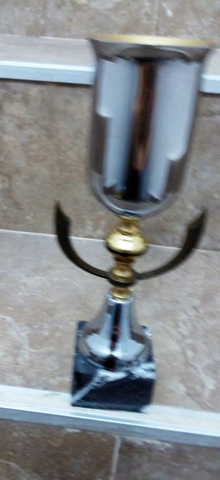DECORACIÓN COPA TROFEO DEPORTE ADORNO REGALO PREMI