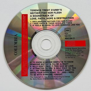 TERENCE TRENT D'ARBY NEITHER FISH NOR FLESH CD
