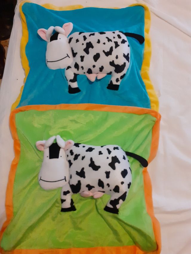 Juego dos fundas cojín