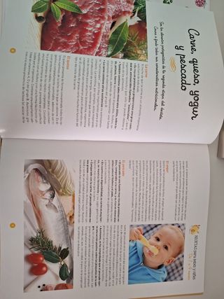 Libros de recetas bebés y niños