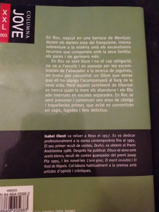 La muntanya dels secrets