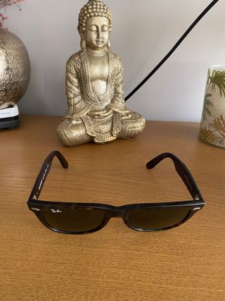 Ray ban Wayfarer para coleccionista