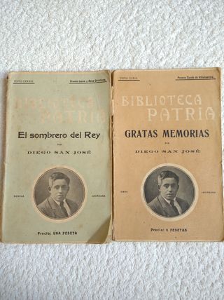 LOTE 9 NOVELAS ANTIGUAS "BIBLIOTECA PATRIA" 1918