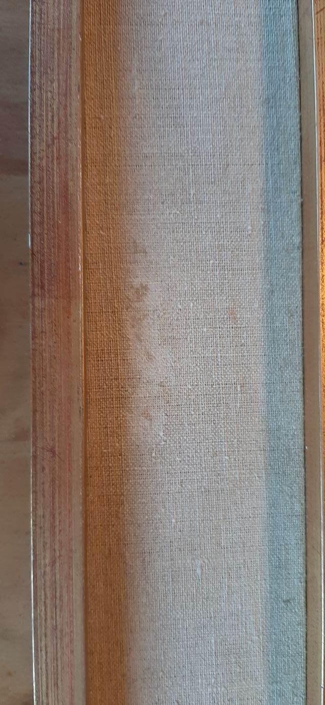 Poda de árboles frutales y ornamentales.