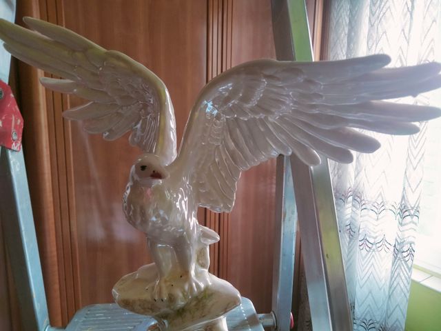 Águila de porcelana