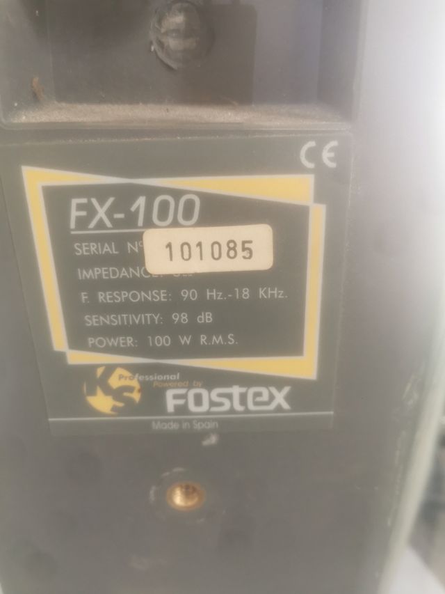 fostex fx100