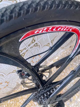Bicicleta Plegable muy robusta y cómoda