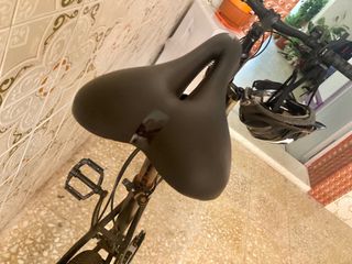 Bicicleta Plegable muy robusta y cómoda