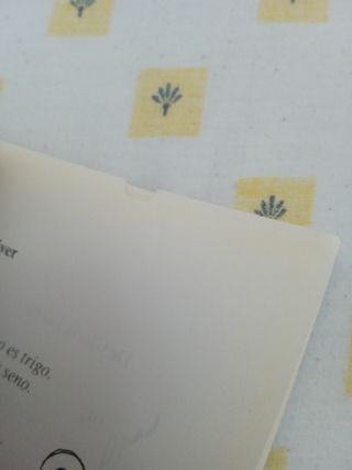 Adivinanzas para niños de hoy