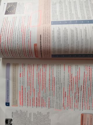 ECONOMÍA BACHILLERATO