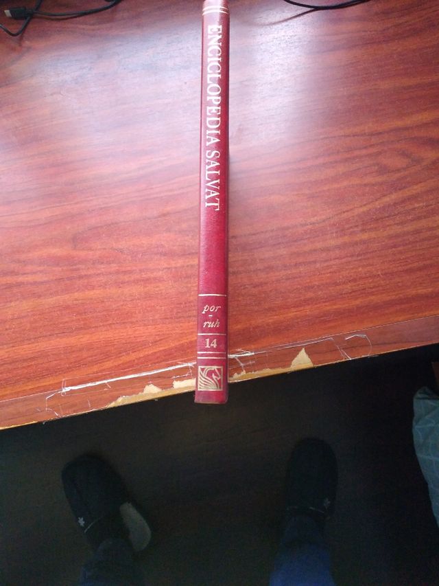 enciclopedia Salvat completa