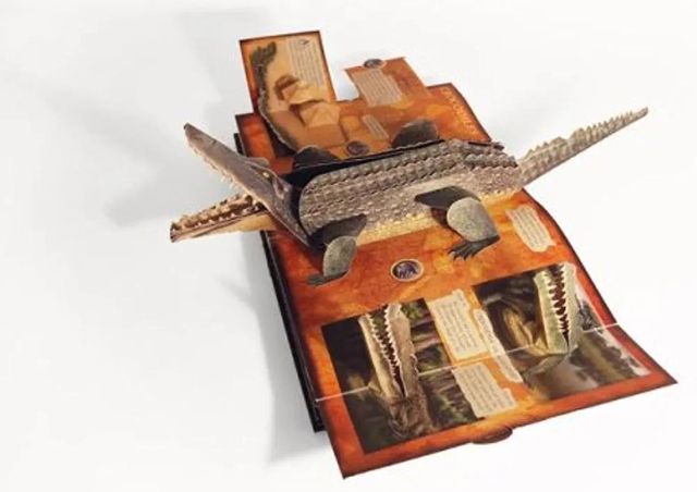 Libro Pop up Predators