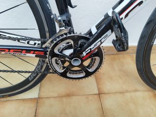 Bicicleta de carretera Focus o cambio por montaña