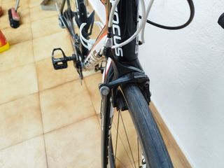 Bicicleta de carretera Focus o cambio por montaña