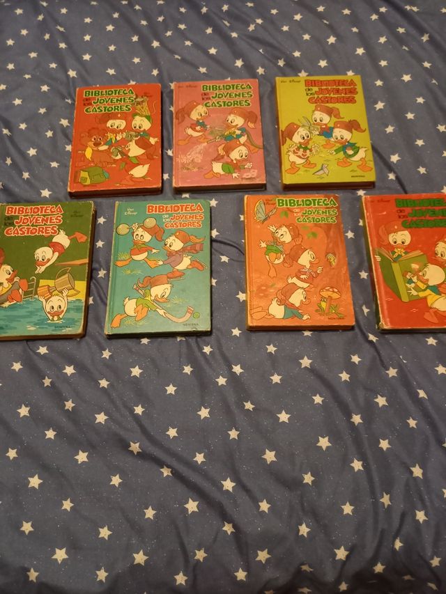VARIOS LIBRITOS-BIBLIOTECA DE LOS JOVENES CASTORES