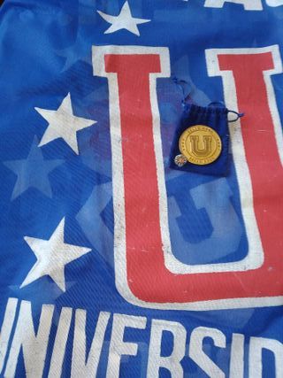 🟦UNIVERSIDAD DE CHILE: Medallón, pin🟦