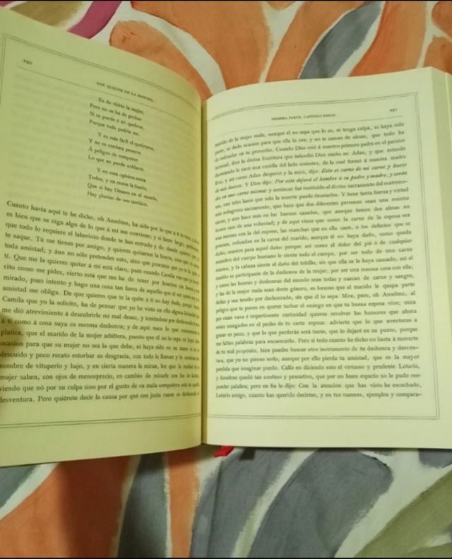 Don QUIJOTE de la Mancha