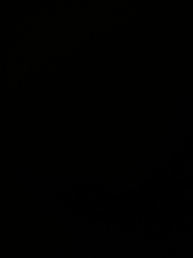 Conjunto 4 Tulipas Vintage