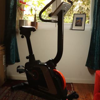 Bicicleta Estatica "SALTER"-PT-1715