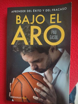 Bajo el aro de Pau Gasol