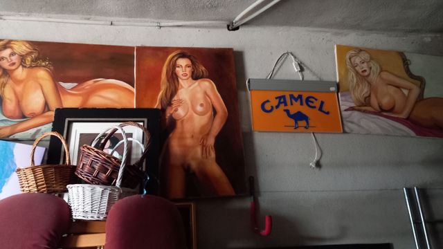 cuadros,burros,espejos