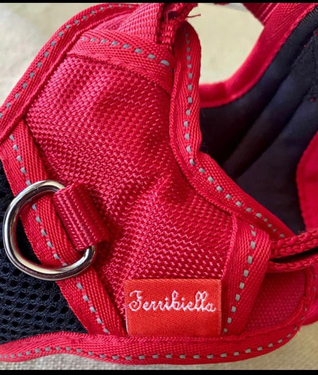 Arnés perro pequeño 