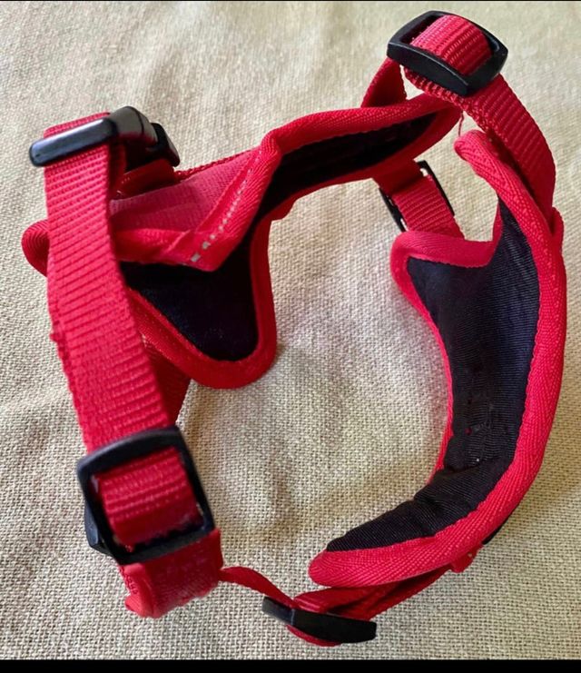 Arnés perro pequeño 