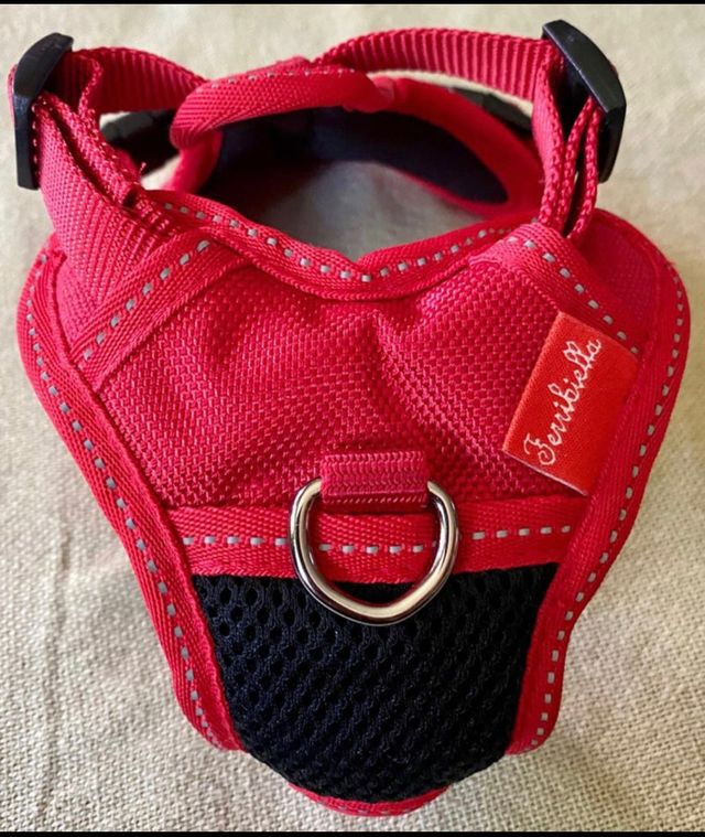 Arnés perro pequeño 