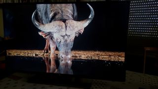 LOTE tv LG 42LF6S2V +SoundBar LG SN5Y