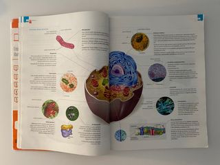 Biologia eta Geologia Teoria + Libro de ejercicios