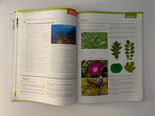 Biologia eta Geologia Teoria + Libro de ejercicios