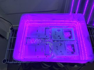 Blanqueamiento de carcasa de Game Boy