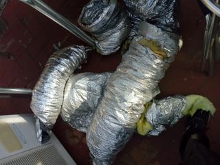 interior para plantas